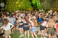 netzfest2019-39