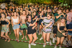 netzfest2019-44