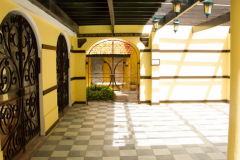 congregation-mikve-israel-emanuel-04