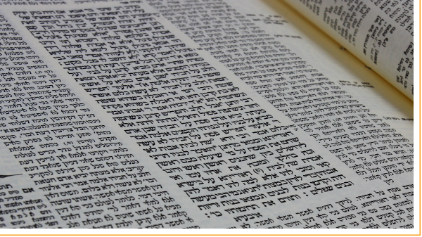 Shabbat Shalom: Insights on the Weekly Torah Portion From the Heart of  Biblical Israel